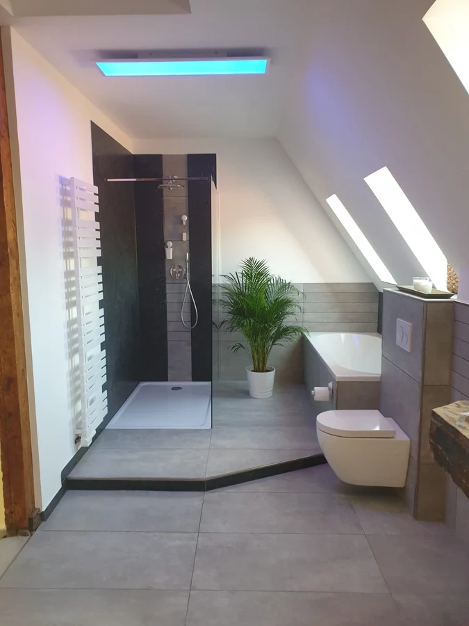 Badezimmerumbau aus drei Räumen, Aufnahme 6